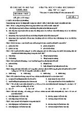 Đề kiểm tra học kỳ 2 môn Vật lý Lớp 9 - Mã đề A - Năm học 2018-2019 - Sở giáo dục và đào tạo Quảng Nam